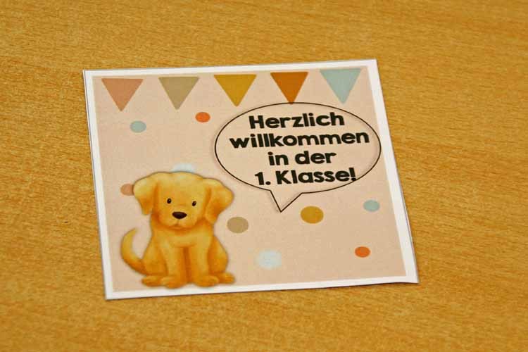 IMG_8881-bearbeitet1-web2