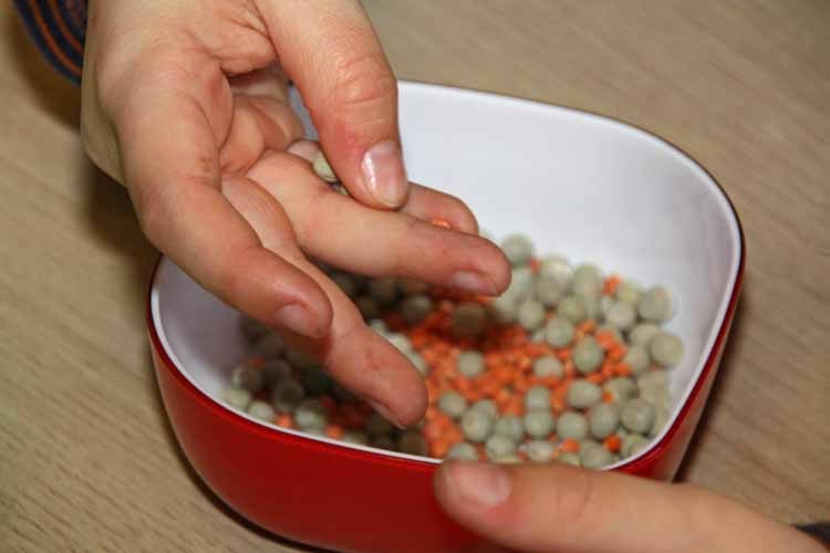 IMG_9072-bearbeitet1-web2