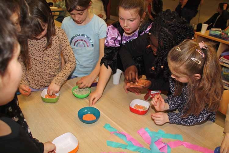 IMG_9075-bearbeitet1-web2